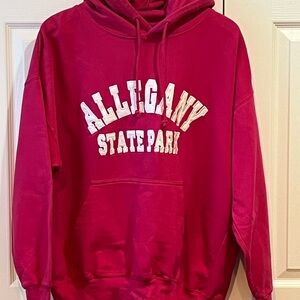 Allegany State Park Bright Pink Pull Over Hooded Sweatshirt XL
